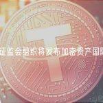 国际证监会组织将发布加密资产国际规则