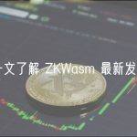 一文了解 ZKWasm 最新发展