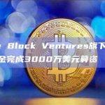 Tyche Block Ventures旗下区块链增长基金完成3000万美元募资