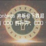 观点：Moonbirds 地板价下跌超 95% ，背后包括其前 COO 的行为、CC0 许可变更等六个原因