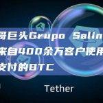 墨西哥巨头Grupo Salinas将接受来自400余万客户使用闪电网络支付的BTC