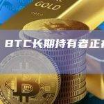 数据：BTC长期持有者正在增加头寸