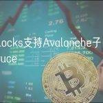 Fireblocks支持Avalanche子网测试网Spruce