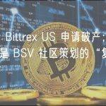 晚报｜Bittrex US 申请破产；BRC-20 是 BSV 社区策划的“复仇计划”？