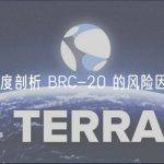 深度剖析 BRC-20 的风险因素