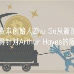 三箭资本创始人Zhu Su从新加坡法院获得针对Arthur Hayes的限制令