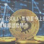 Solana（SOL）年初至今上涨超一倍，涨幅超过比特币