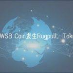 安全团队：WSB Coin发生Rugpull，Token跌超86%