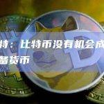 巴菲特：比特币没有机会成为世界储备货币