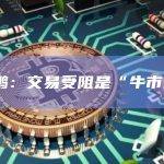 赵长鹏：交易受阻是“牛市问题”
