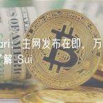 Messari：主网发布在即，万字长文深度了解 Sui