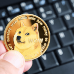 doge币今日价格行情 doge币价格走势预测