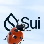 审计公司Zellic爆料SUI曾秘密修复十亿美元漏洞 可让黑客闪电贷攻击