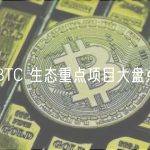 BTC 生态重点项目大盘点