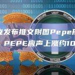 马斯克发布推文附图Pepe形象表情包，PEPE应声上涨约10%