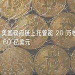 数据：美国政府链上托管超 20 万枚 BTC，价值超 60 亿美元