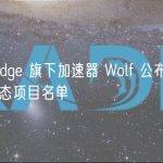 Stone Ridge 旗下加速器 Wolf 公布首批入围比特币生态项目名单