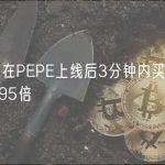 四个巨鲸在PEPE上线后3分钟内买入，收益达133095倍