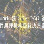 HashQuark 获 SSV DAO 资助以推出流动性质押机构级解决方案