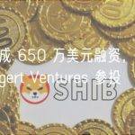 Parex 完成 650 万美元融资， DWF Labs 和 Bitgert Ventures 参投