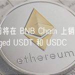 币安：今日将在 BNB Chain 上销毁大量 Binance-pegged USDT 和 USDC