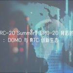 【BRC-20 Summer】BRC-20 背后的“V 神”：DOMO 与 BTC 创新生态