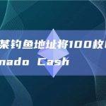 数据：某钓鱼地址将100枚ETH转入Tornado Cash