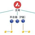 Avalanche（雪崩协议）研究报告