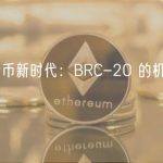 比特币新时代：BRC-20 的机遇与风险