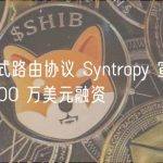 分布式路由协议 Syntropy 宣布完成 400 万美元融资