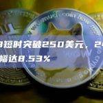 BNB短时突破250美元，24 小时涨幅达8.53%
