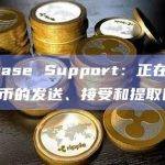 Coinbase Support：正在修复关于莱特币的发送、接受和提取问题
