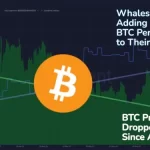 牛市将至？比特币巨鲸不畏崩盘、每天增持1000枚BTC