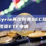 Valkyrie再次向美SEC提交比特币现货ETF申请