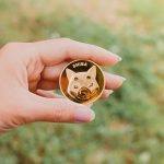 SHIB或将蓄势待发 潜在的机会都有哪些