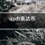 USDT官网下载(USDT注册及提现教程)