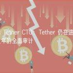 对话 Tether CTO：Tether 仍在进行涵盖数年的全面审计