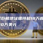 数据：某巨鲸地址增持超18万枚AAVE，约合1320万美元