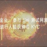 Sei 基金会：参与 Sei 测试网激励或空投无需进行人脸识别或 KYC