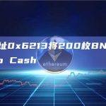 EOA地址0x6213将200枚BNB转至Tornado Cash