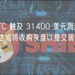 周报 | BTC 触及 31400 美元周涨幅超 16%；富达或将收购灰度以提交现货比特币 ETF 申请