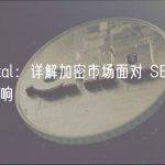 LD Capital：详解加密市场面对 SEC 打压的反应与影响