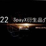 以“元宇宙智库招募投资人”为幌子进行传销，团伙被公诉