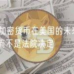 观点：加密货币在美国的未来很可能由国会而不是法院决定