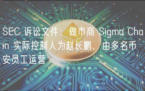 SEC 诉讼文件：做市商 Sigma Chain 实际控制人为赵长鹏，由多名币安员工运营 | 数字藏品
