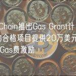 BNB Chain推出Gas Grant计划，将每月向合格项目提供20万美元的BNB作为Gas费激励