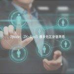 Opside：ZK-RaaS 模块化区块链网络