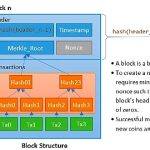 深入探讨 BTC Layer2 的前世今生与未来