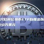 美国首只杠杆比特币ETF自推出以来交易量达420万美元