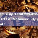 SwissOne Capital推出新加密基金“SwissOne IOTA Shimmer Opportunities Fund”
